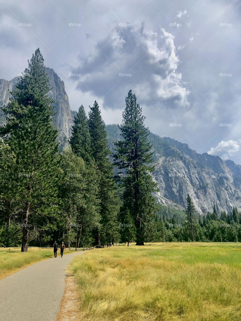 Yosemite National Park 