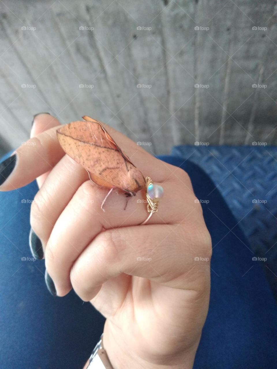 Expert insects in camouflage.