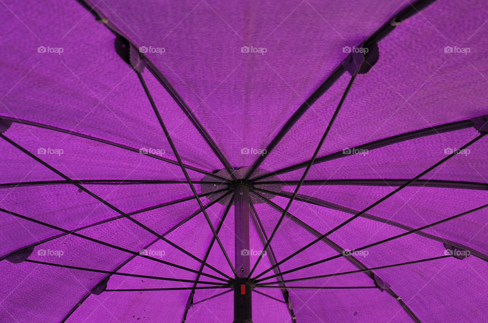 Umbrella