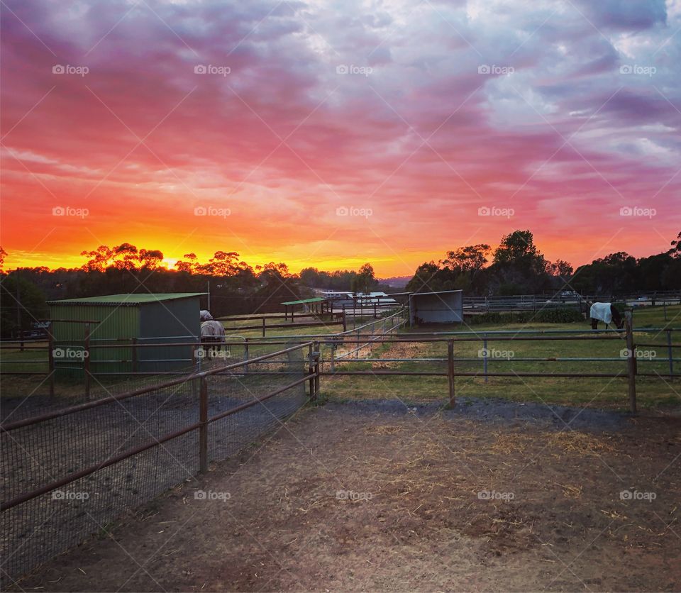 Sunrise on the farm