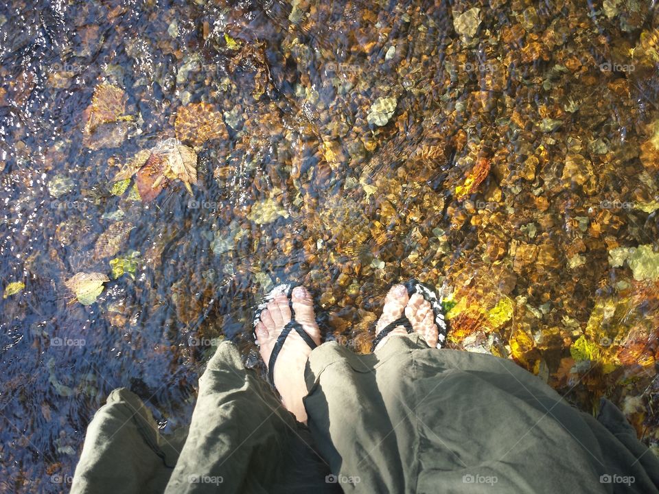 Blue Branch Creek Views