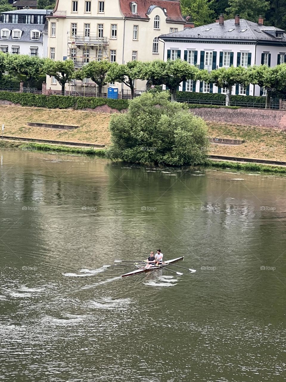 Rhine River, Heidelberg Germany