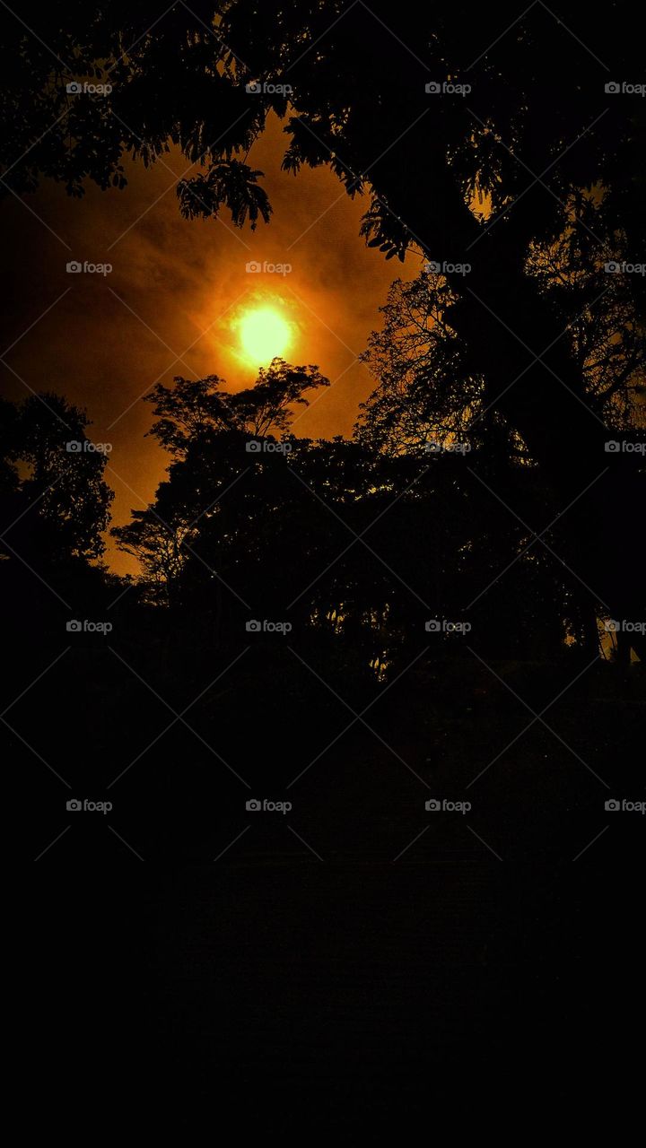 Phenomenon on a summer afternoon