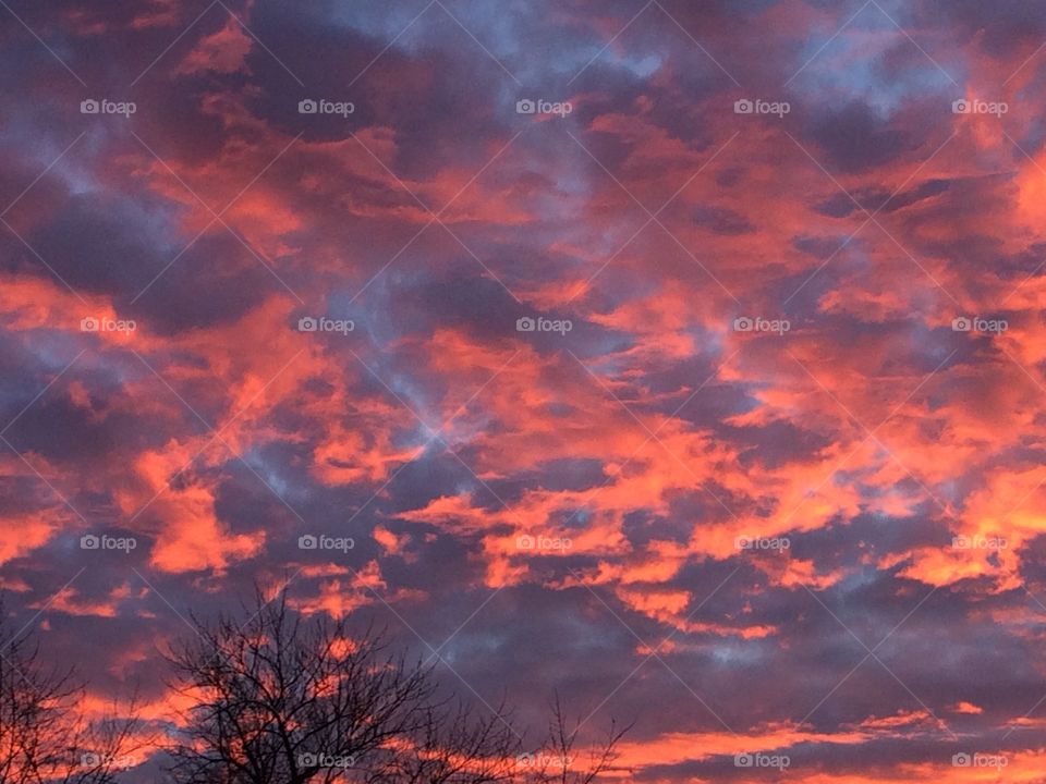 Red sky at morning 