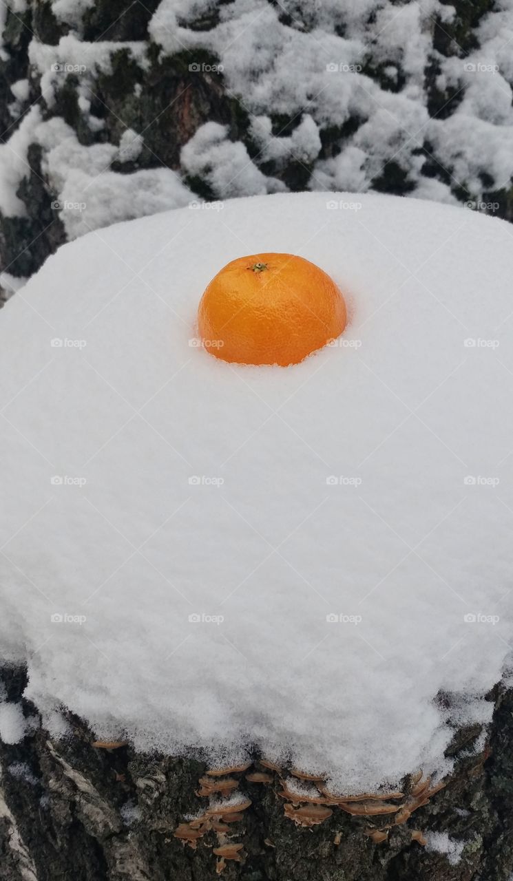 Tangerine on snow.