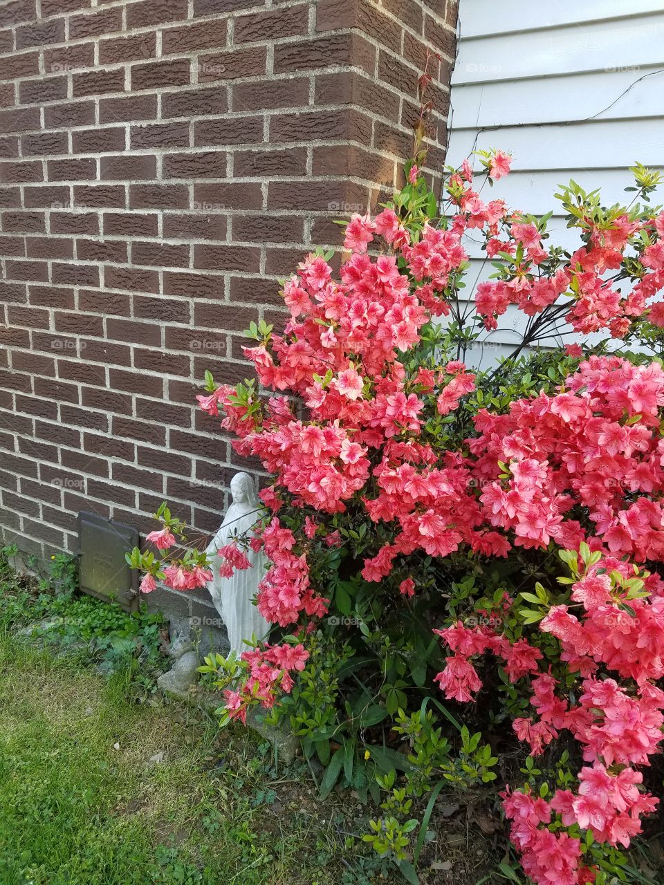 Mary statue with flowers