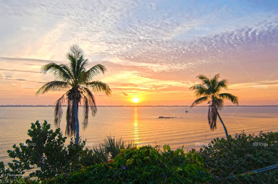 View of palm trees and calm sea during sunset