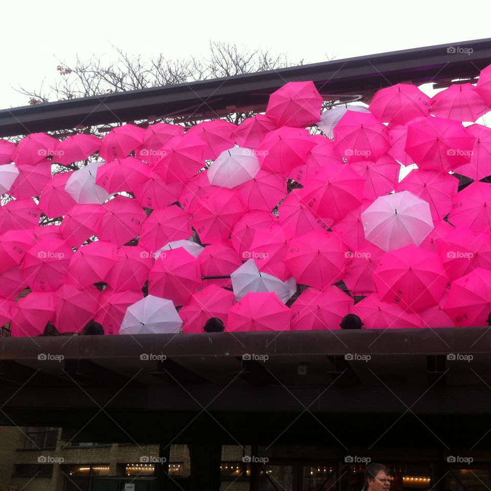 Umbrellas in Pink. Umbrellas