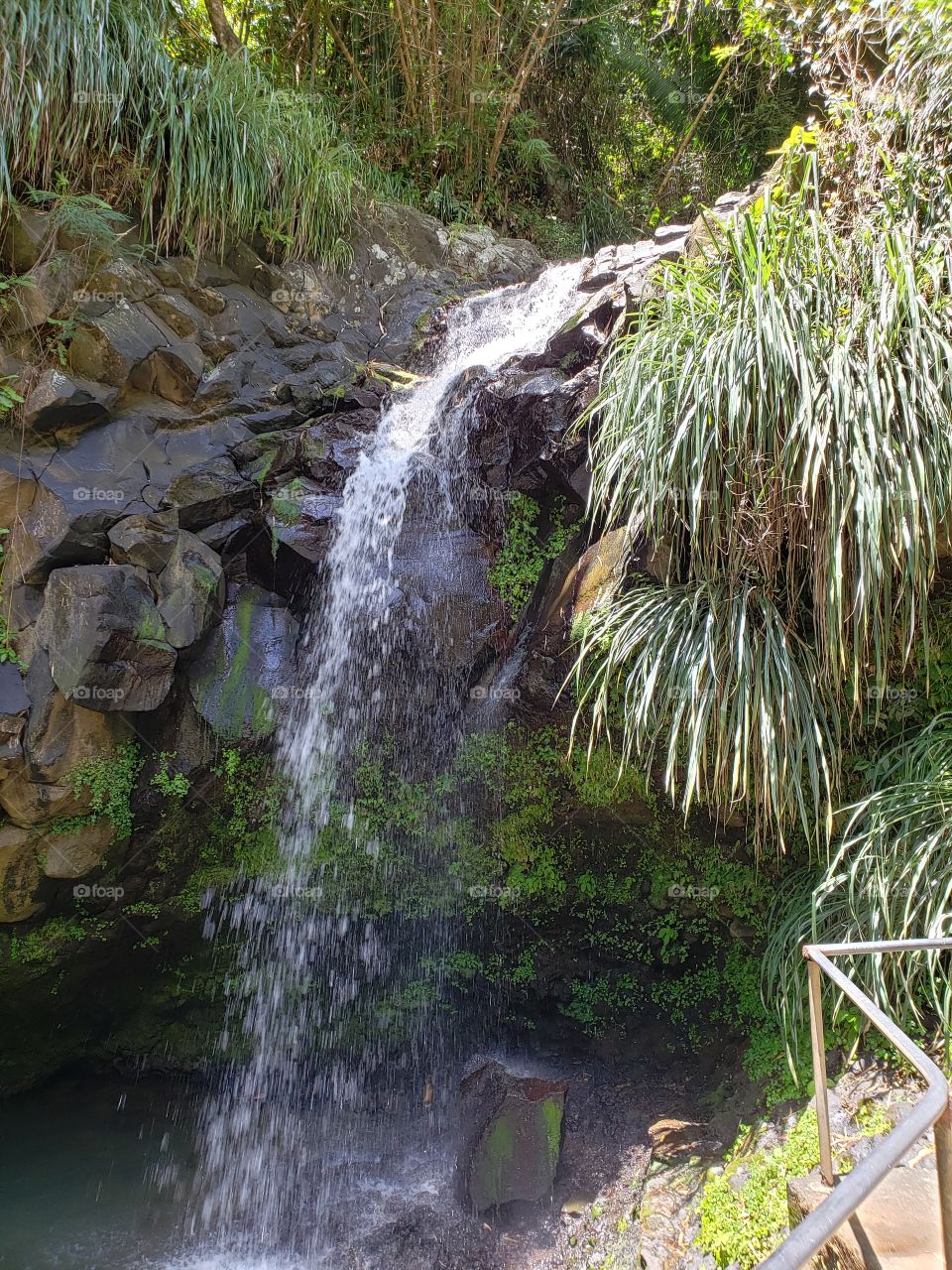 Annandale Falls in Grenada