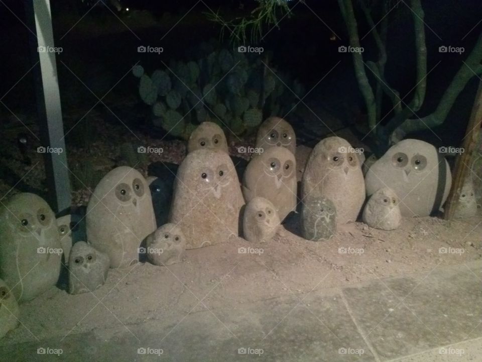 Stone owls
