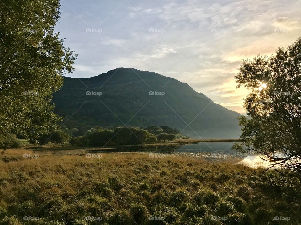 Landscape, No Person, Tree, Nature, Outdoors