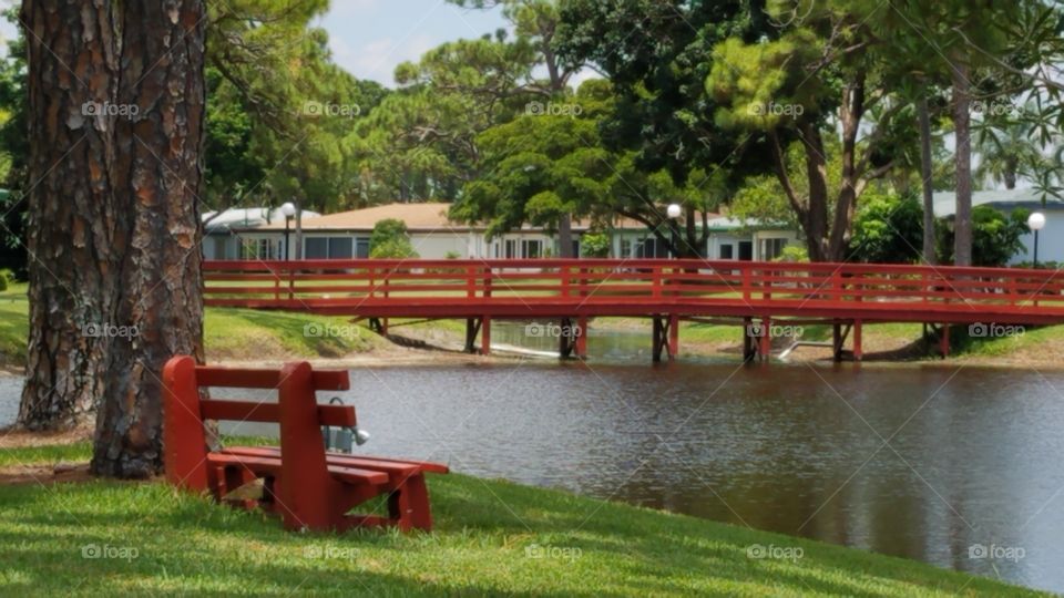 community bridge, park