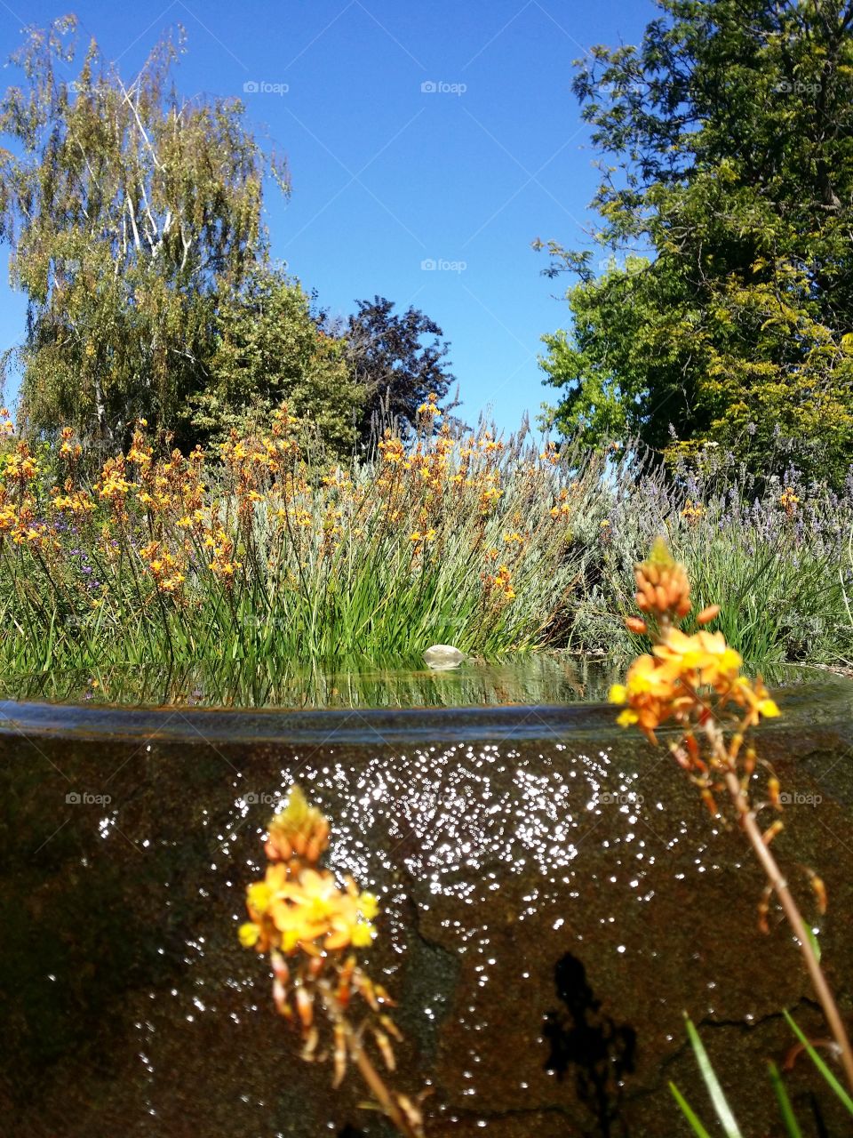 ⛲ ⛲ A Mini Fountain! ⛲ ⛲