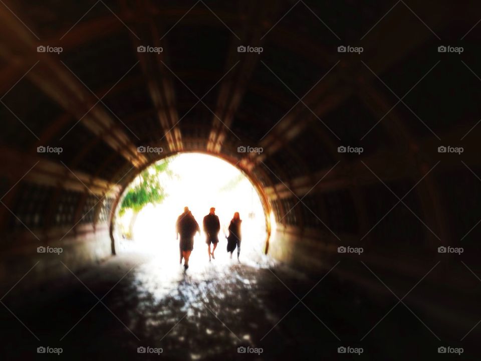 Tunnel on Prospect Park  