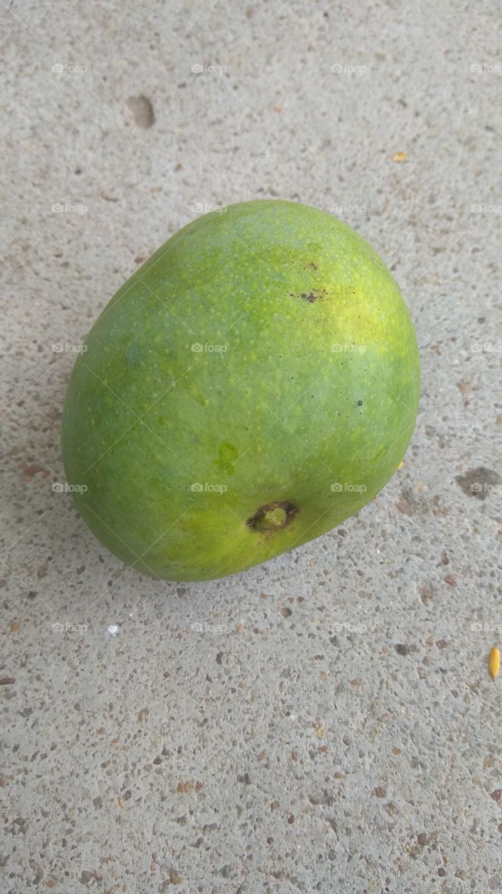 Himsagar Mango