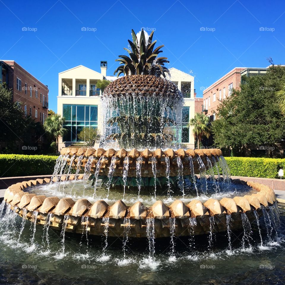 Fountain in Charleston 