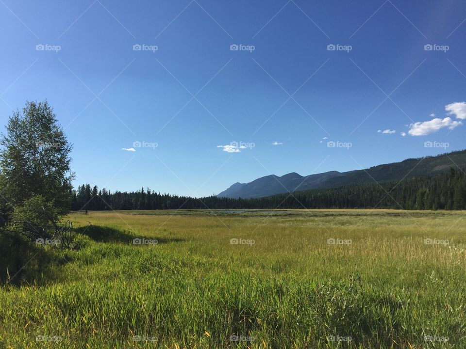 Typical Montana..always showing off.