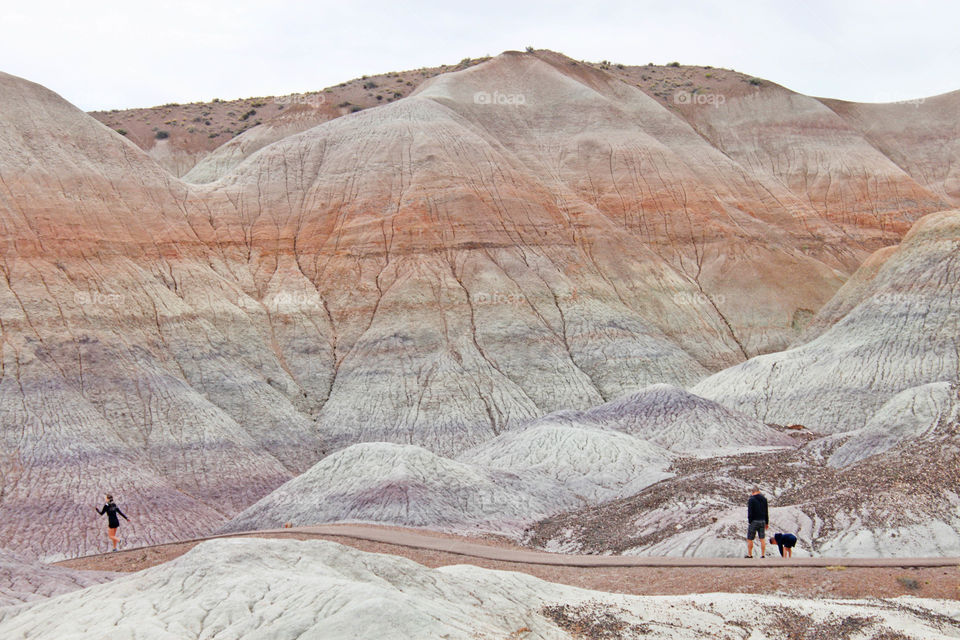 Painted desert