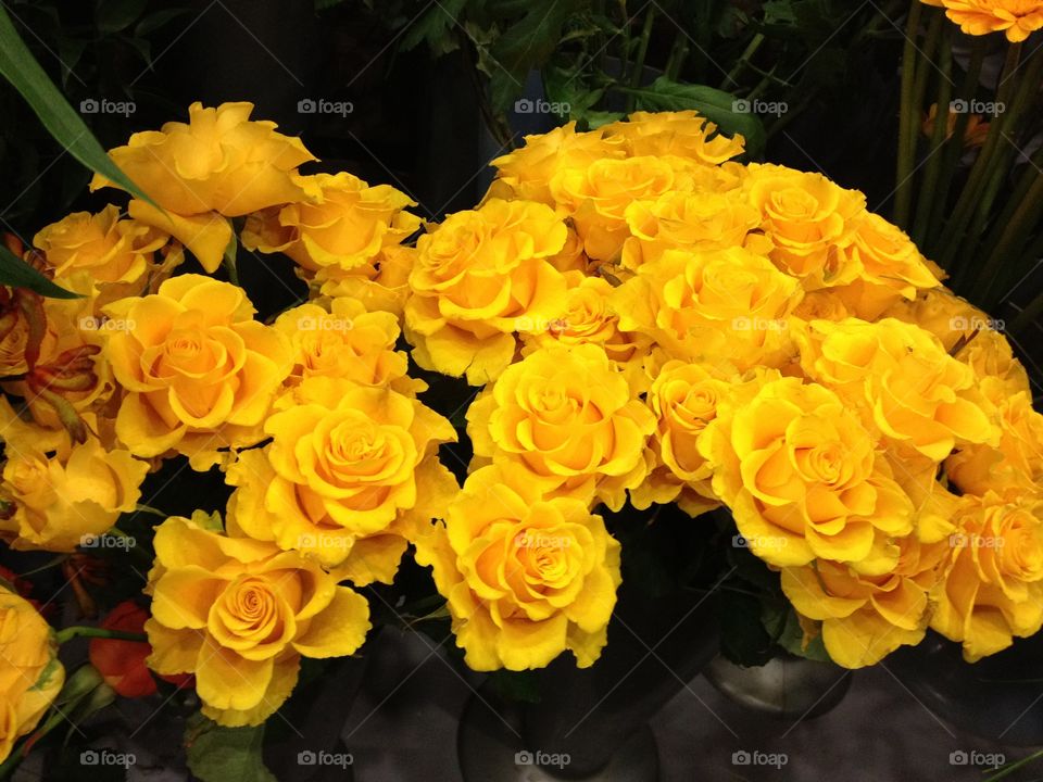 Yellow Roses. Flower bouquet