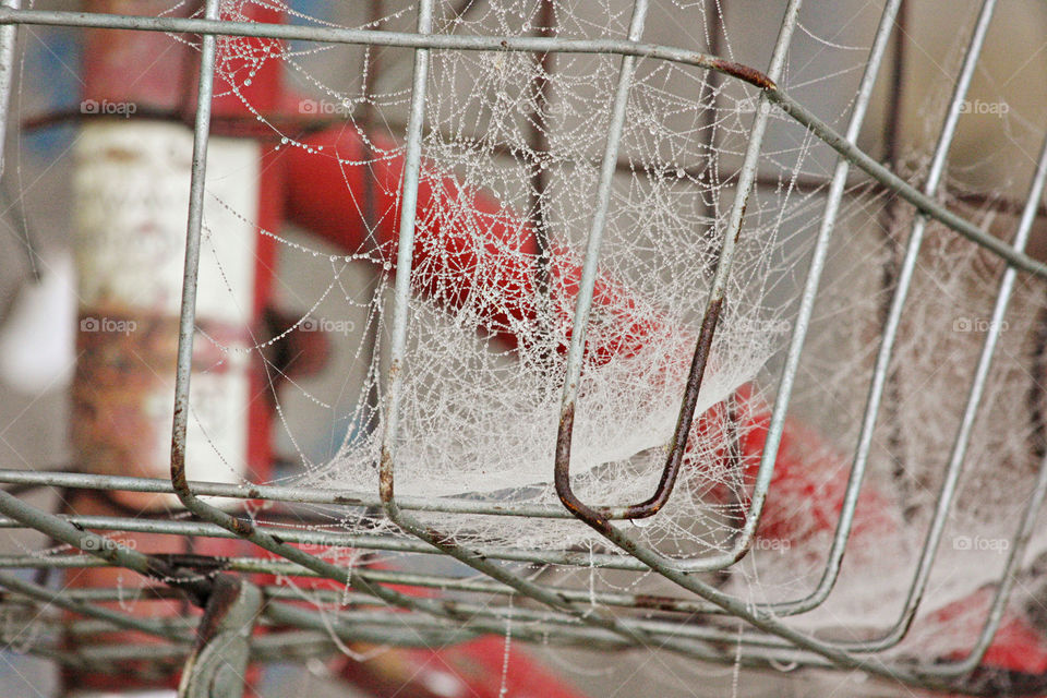 Old bike basket with cobwebs