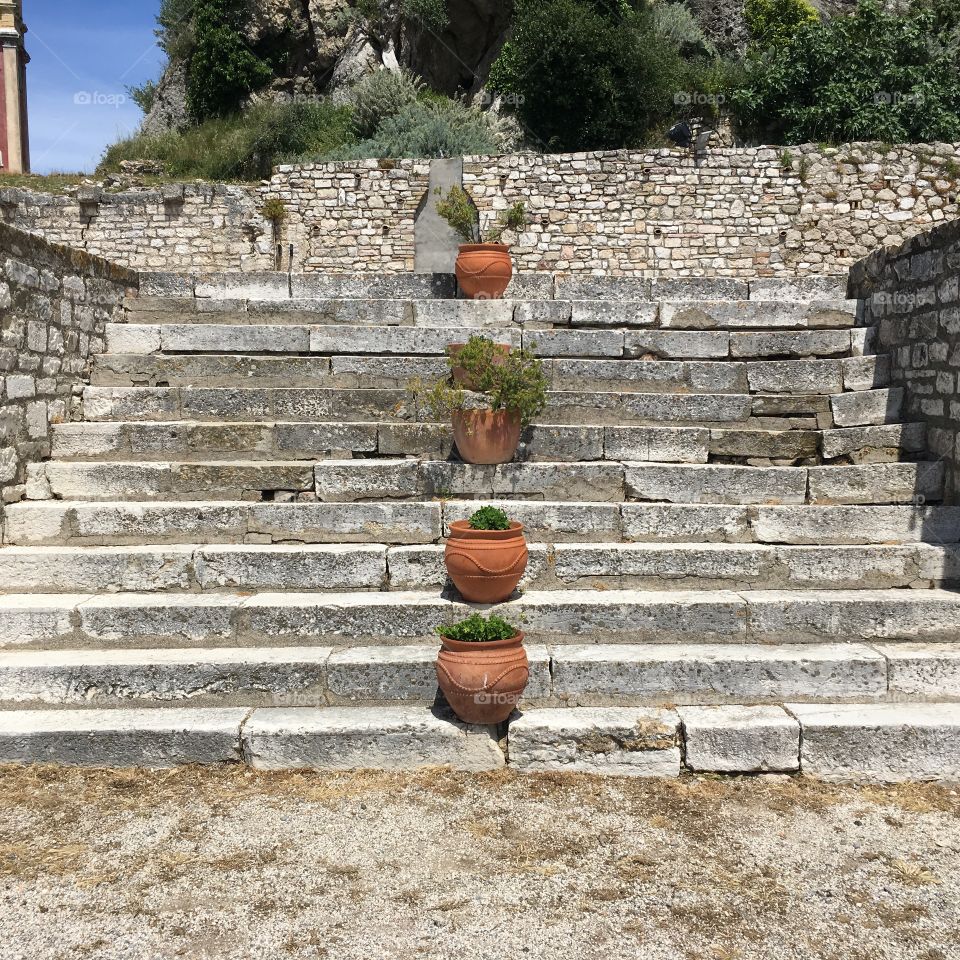 Pot plants placed on stone steps