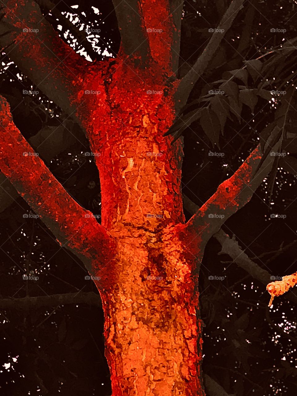 A red hot, glowing tree. This is one tree that would most definitely stand out, like a fly on a cake.