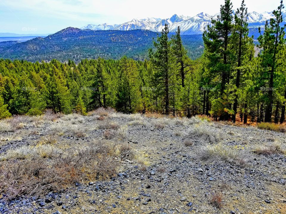 MOMMATH LAKES|california