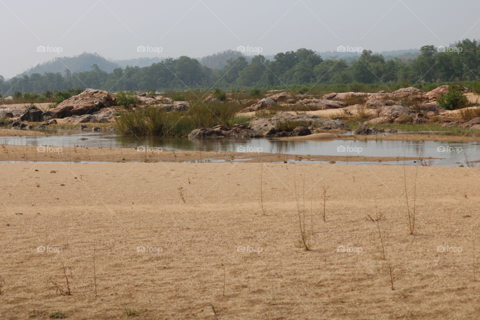 Odisha river