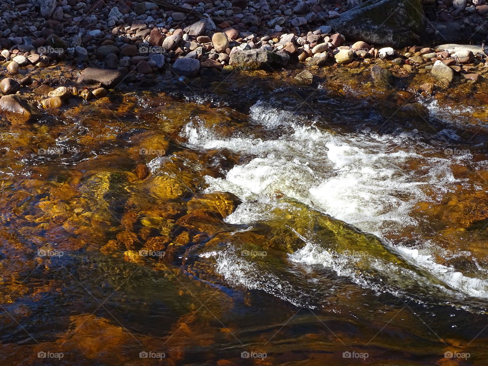 Kurpark in Bad Wildbad