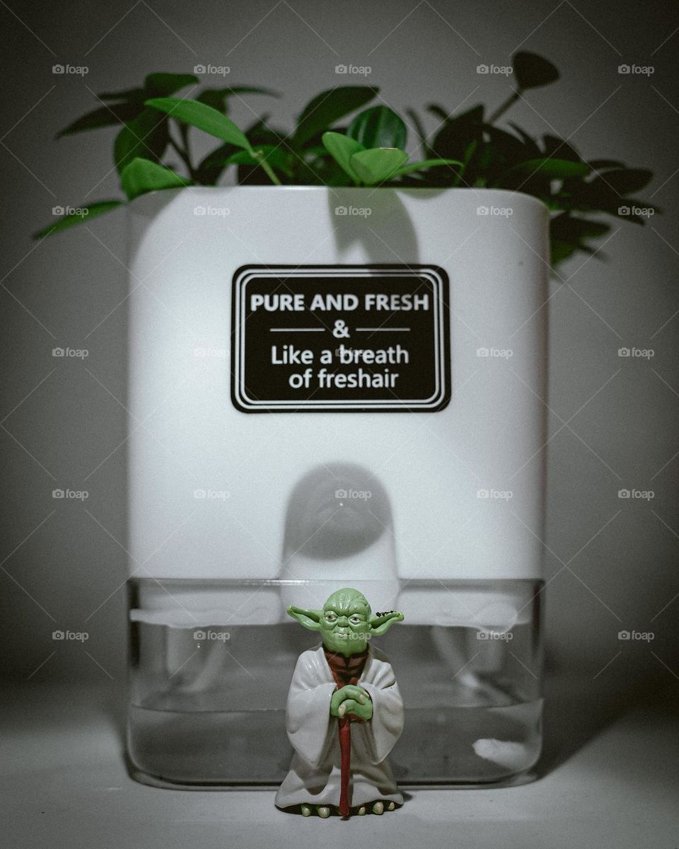 Yoda