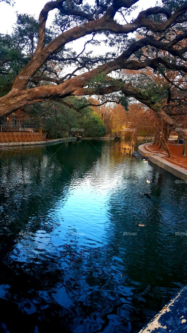 Brackenridge Park