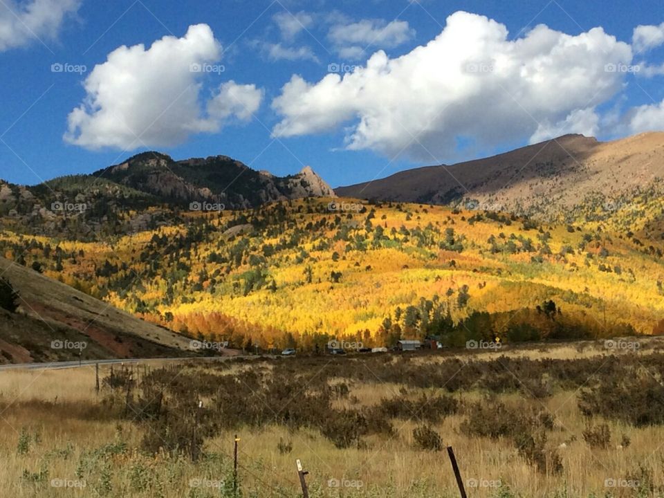 Colorado Splendor