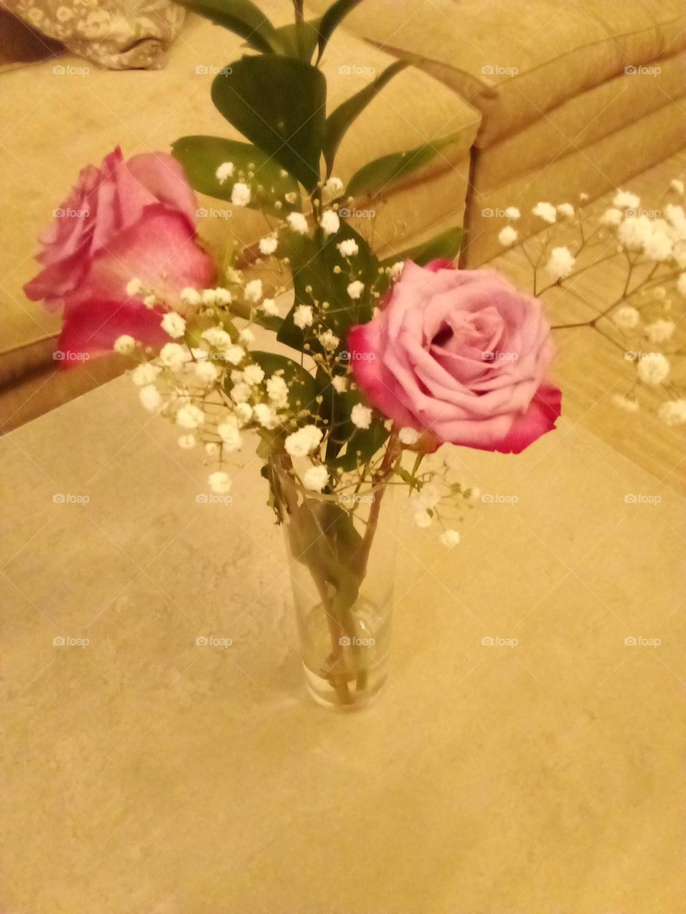 Fresh Pink Roses