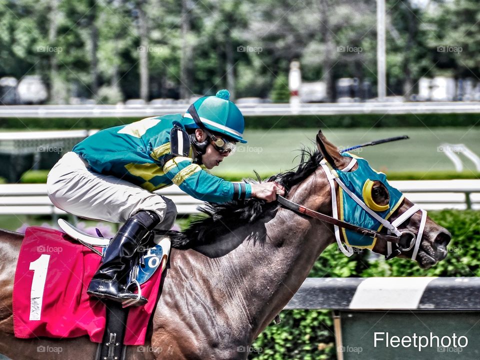 Red Velvet. Red Velvet winning a stakes race at Belmont Park, where champions are made. 