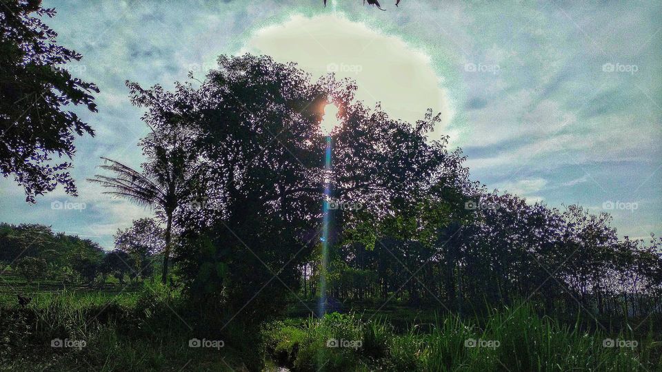 Morning on the trail in the countryside