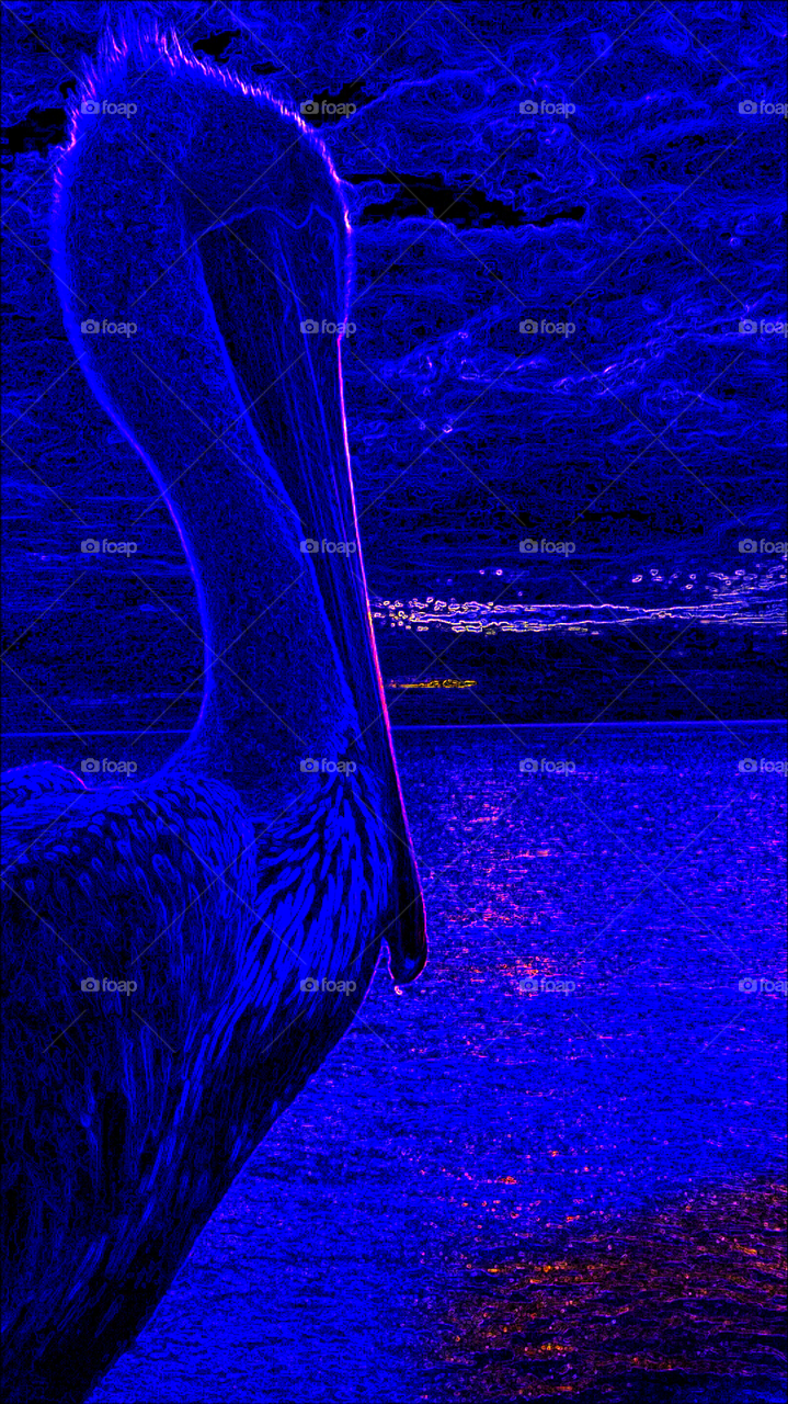 "Blue Neon Pelican At Sunrise"