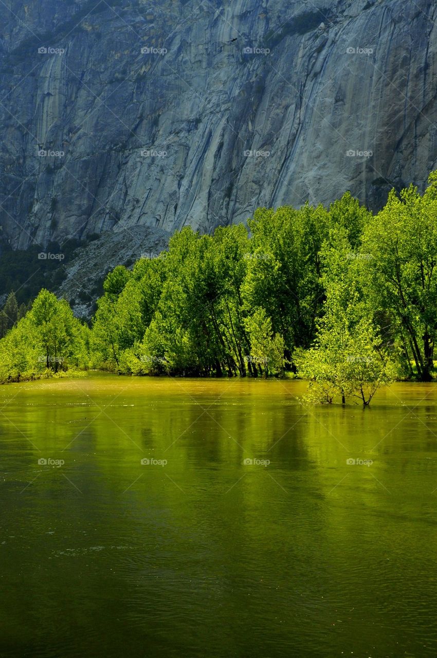 Merced River - Yosemite
