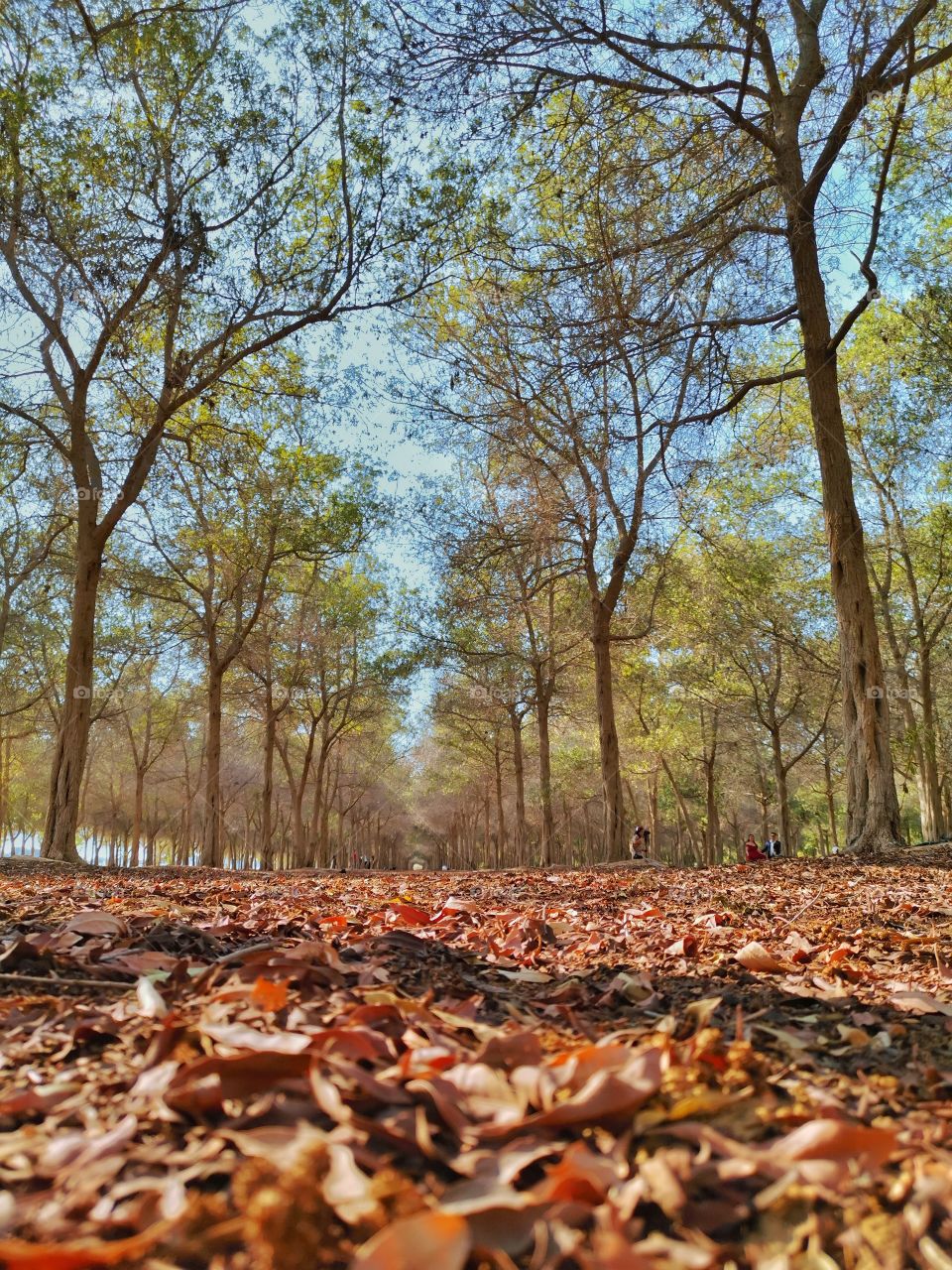 Captivated by Nature ❤️
