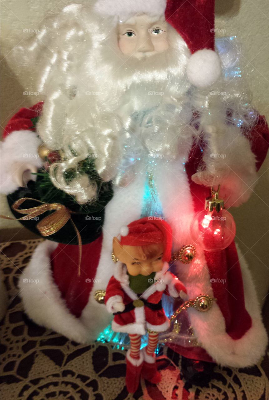 Elfie in a Santa Suit