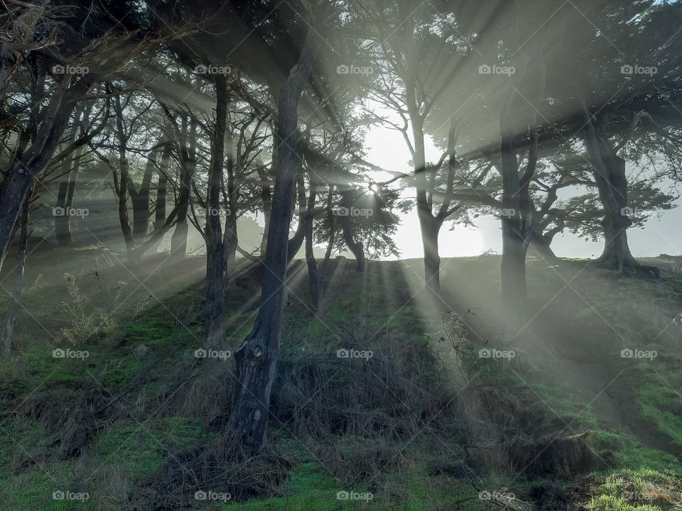 Morning at Lands end, San Francisco