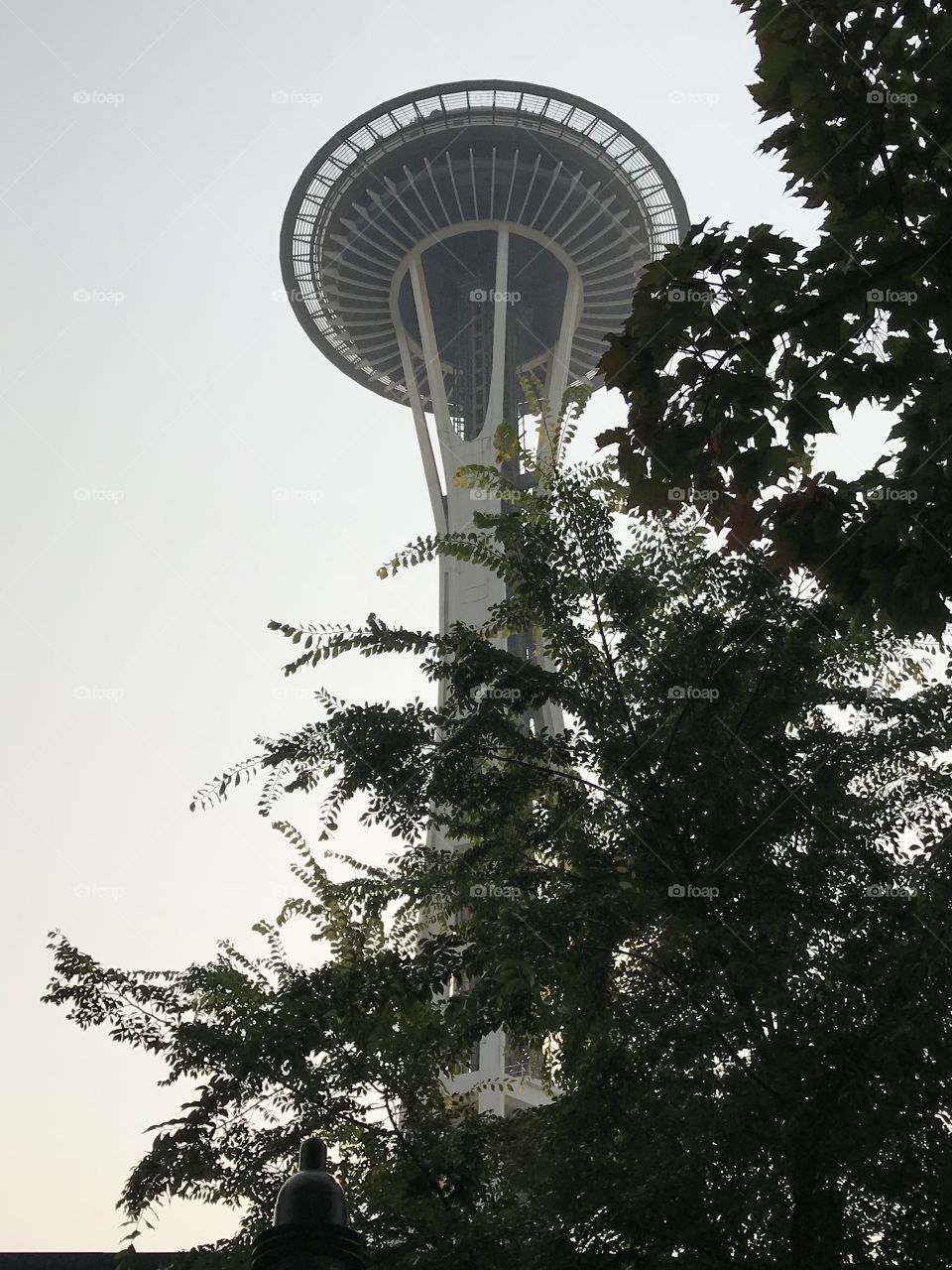 Space Needle 