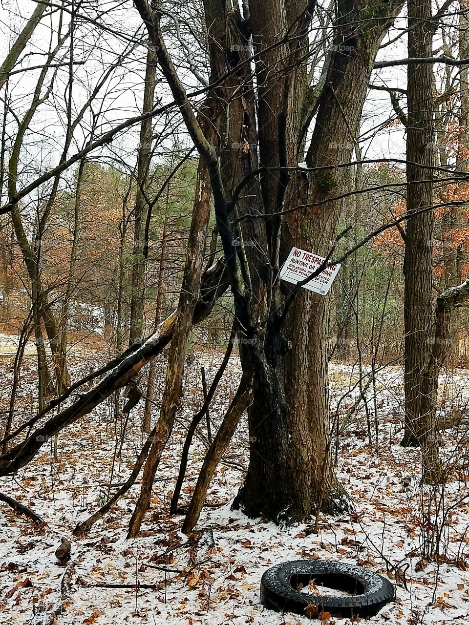 old no trespassing sign in the woods
