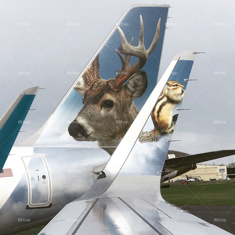 Frontier Airplanes 