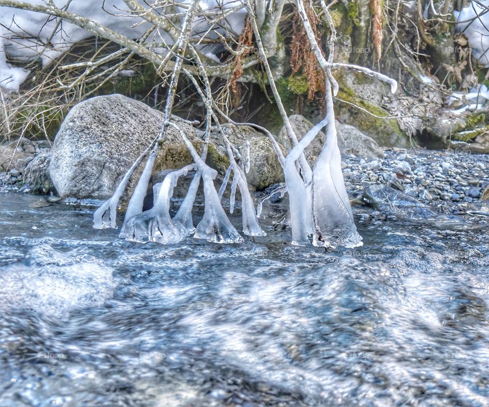 ice flowers