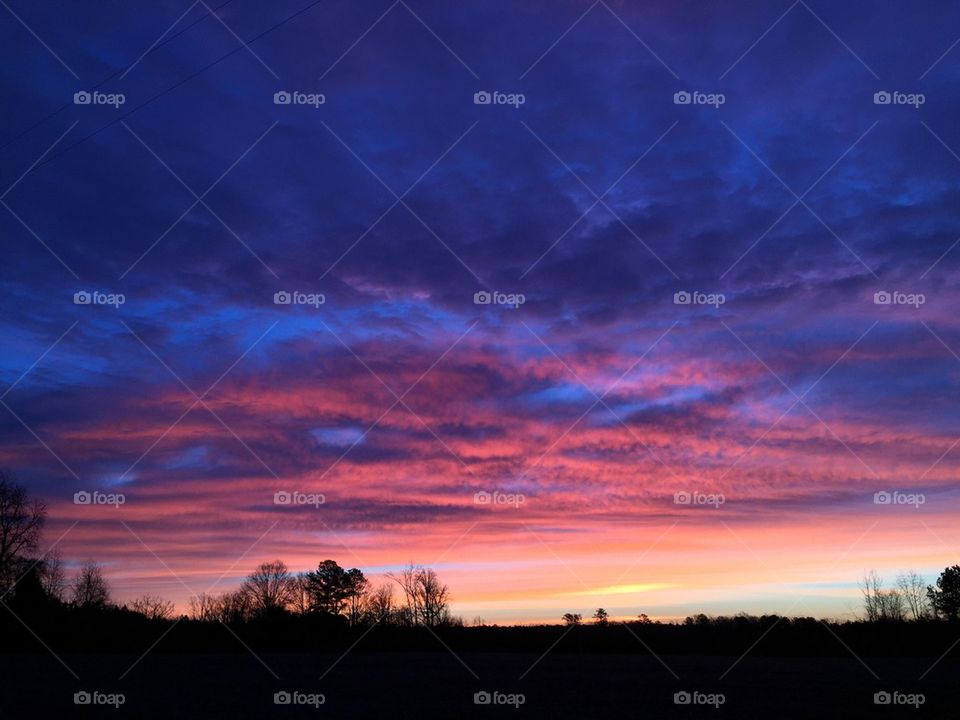 Silhouette of trees during sunrise