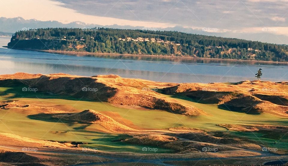 Chambers Bay Golf Course