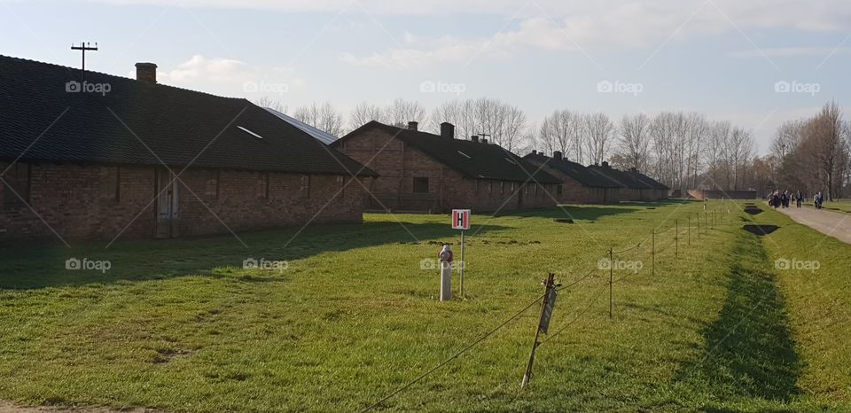 Rows of previously occupied huts in Aushwitz concentration camp