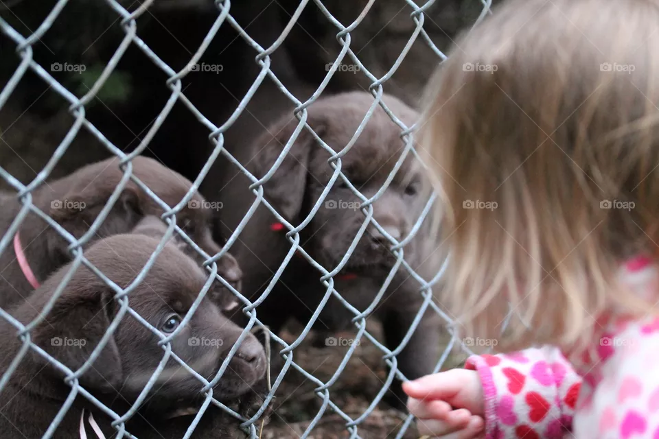 puppy love
