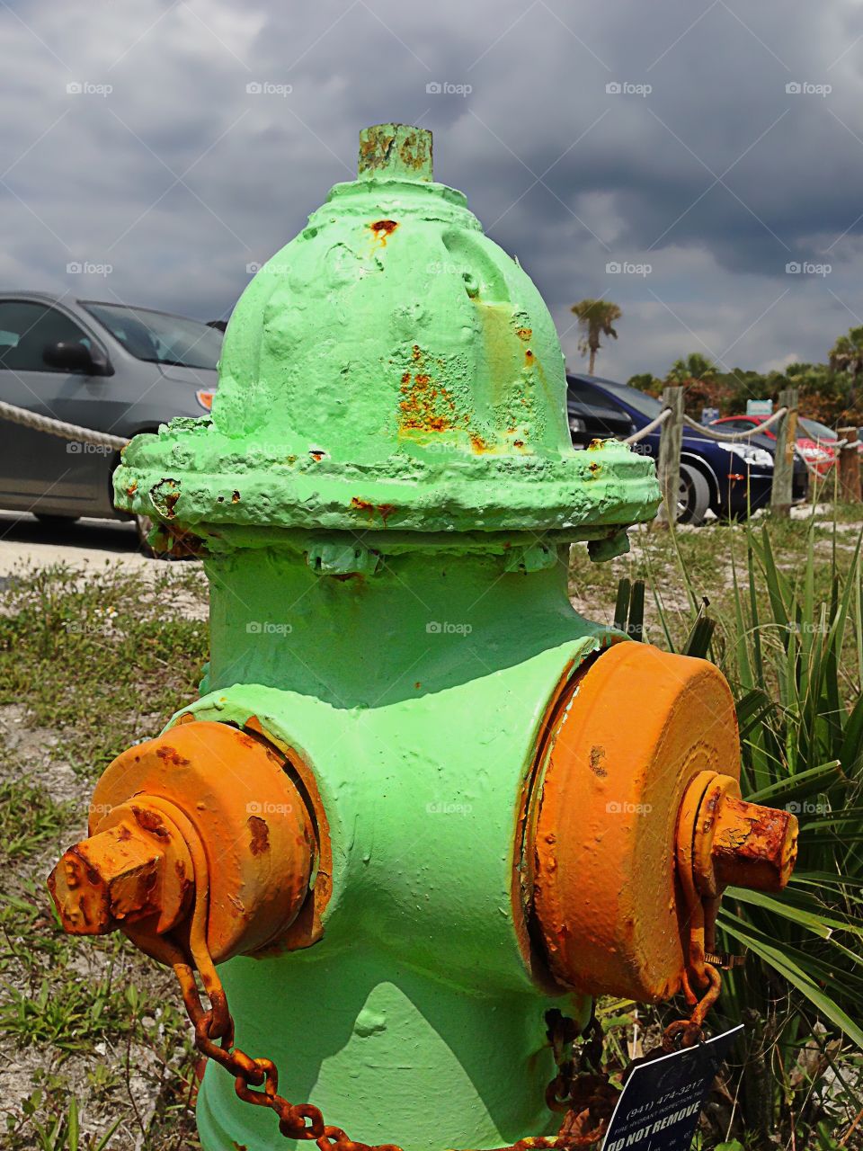 Green fire hydrant 