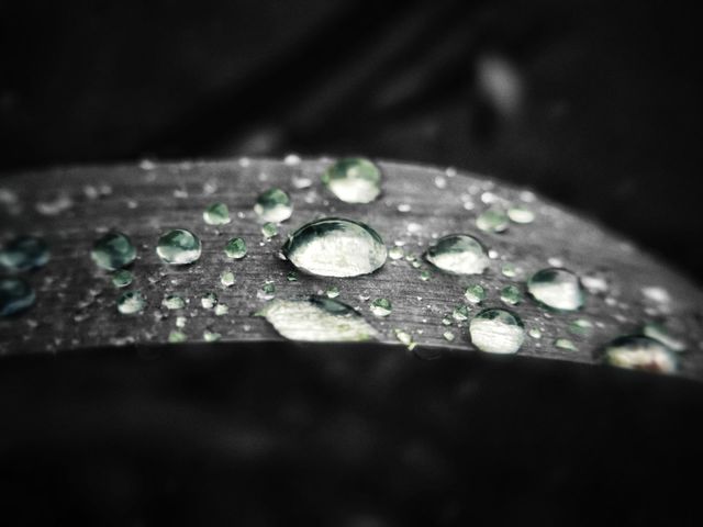 My rainy day 3